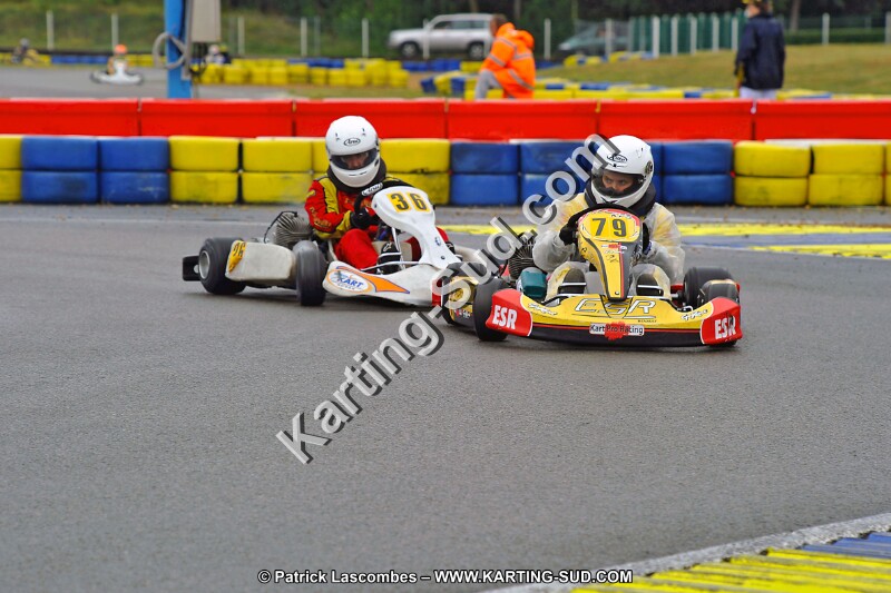 DSC_ (1048).jpg